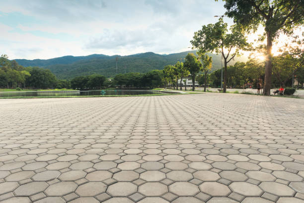 Best Driveway Pavers Near Me  in Lemay, MO
